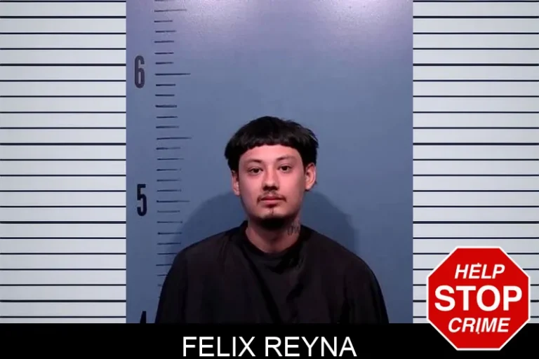 Felix Reyna