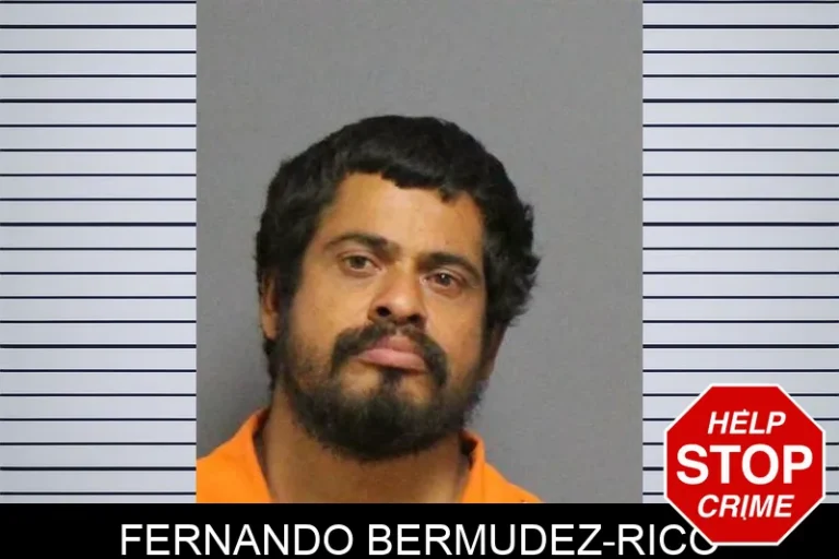 Fernando Bermudez-Rico