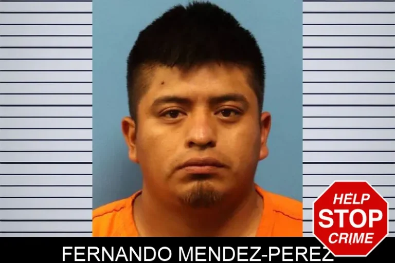 Fernando Mendez-Perez