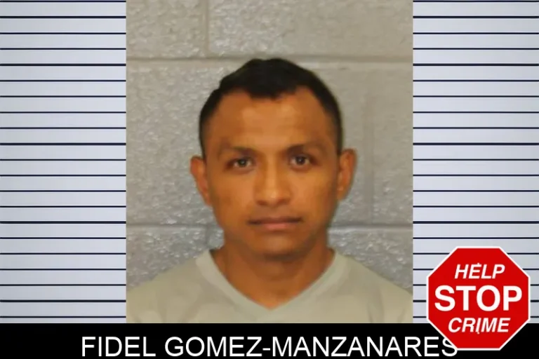 Fidel Gomez-Manzanares