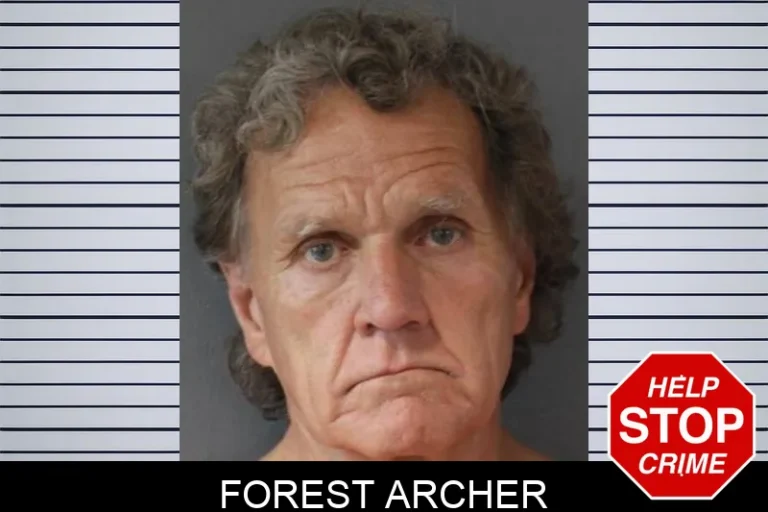 Forest Archer
