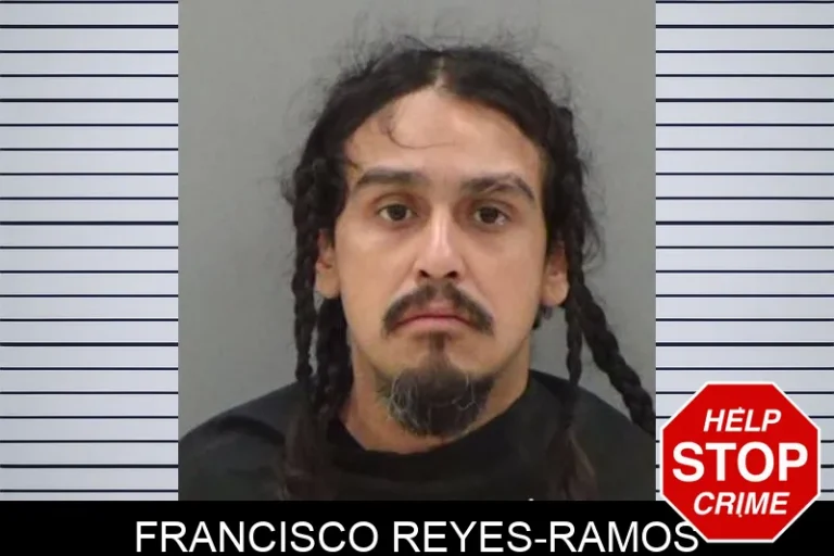 Francisco Reyes-Ramos