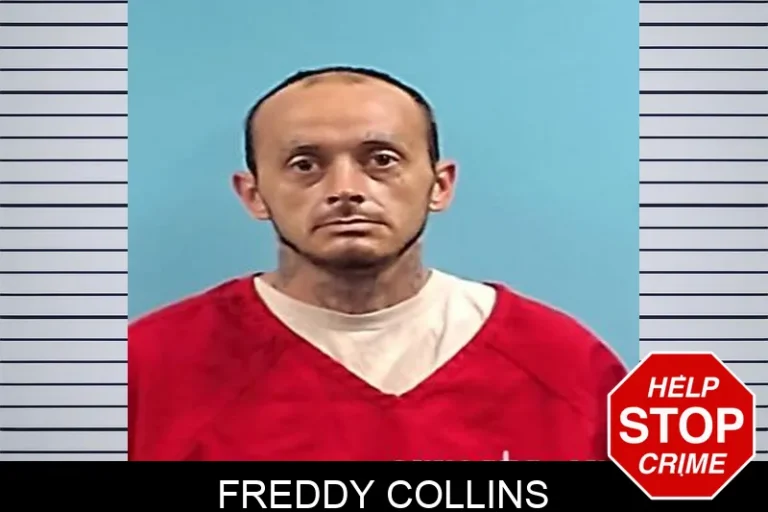 Freddy Collins