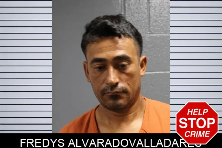 Fredys AlvaradoValladares