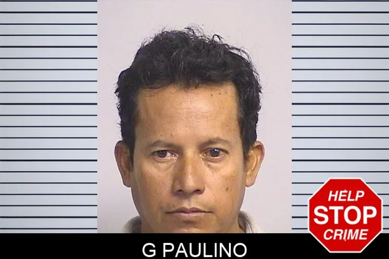 G Paulino