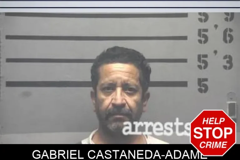 Gabriel Castaneda-Adame