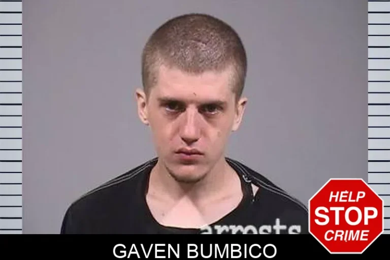 Gaven Bumbico