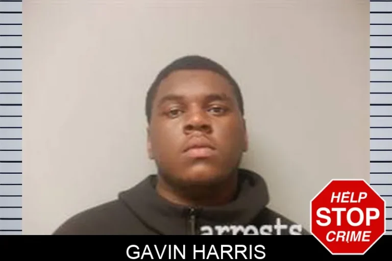 Gavin Harris