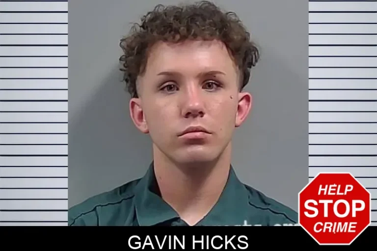 Gavin Hicks