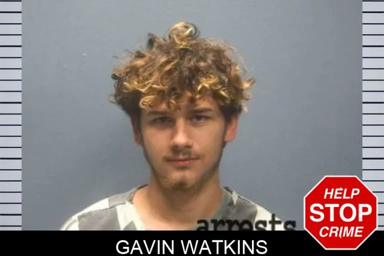 Gavin Watkins