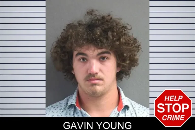Gavin Young