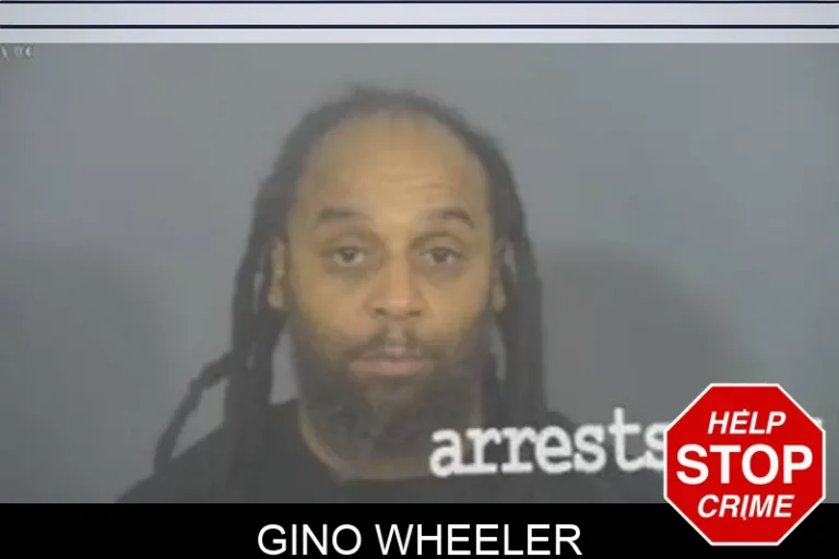 Gino Wheeler