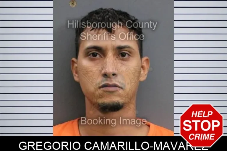 Gregorio Camarillo-Mavarez