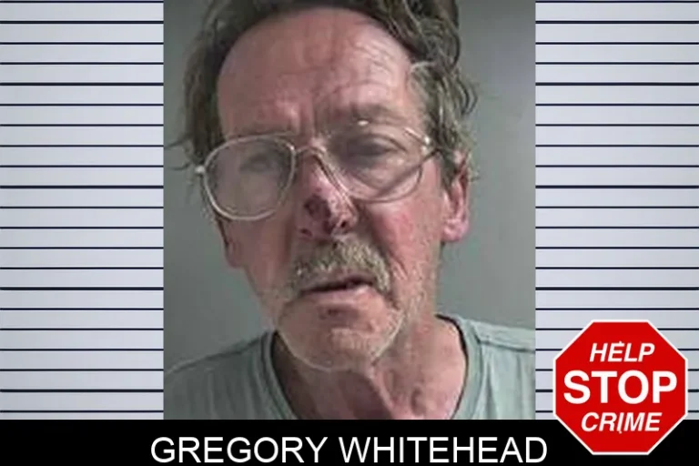 Gregory Whitehead