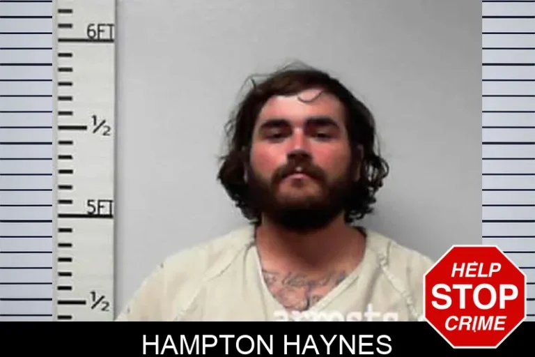 Hampton Haynes