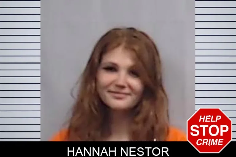 Hannah Nestor