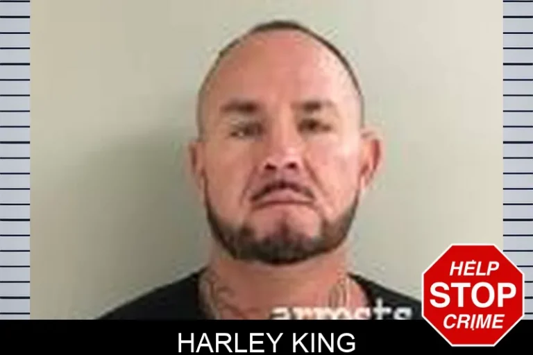 Harley King