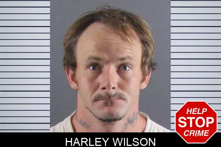 Harley Wilson