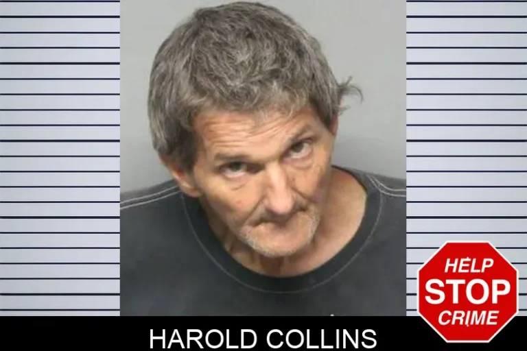 Harold Collins