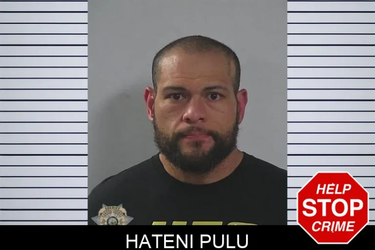 Hateni Pulu