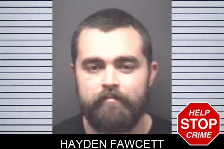 Hayden Fawcett