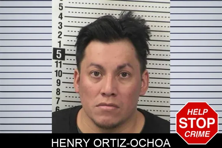 Henry Ortiz-Ochoa