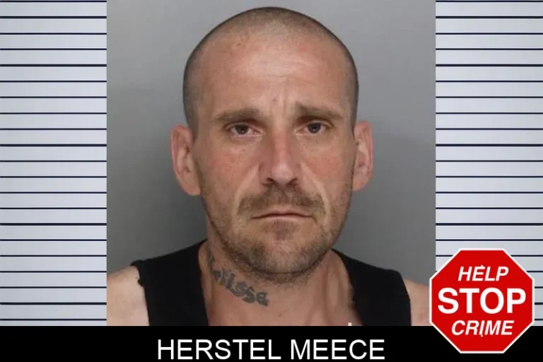 Herstel Meece