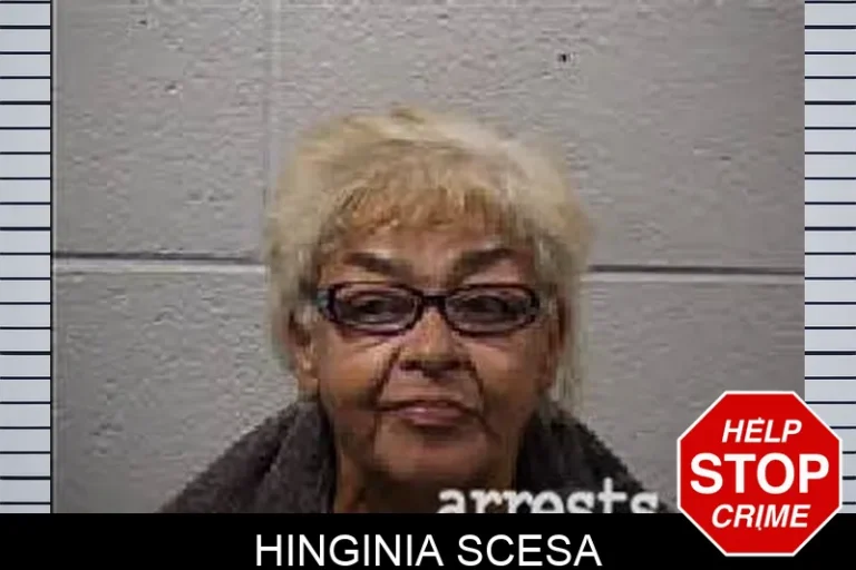 Hinginia Scesa