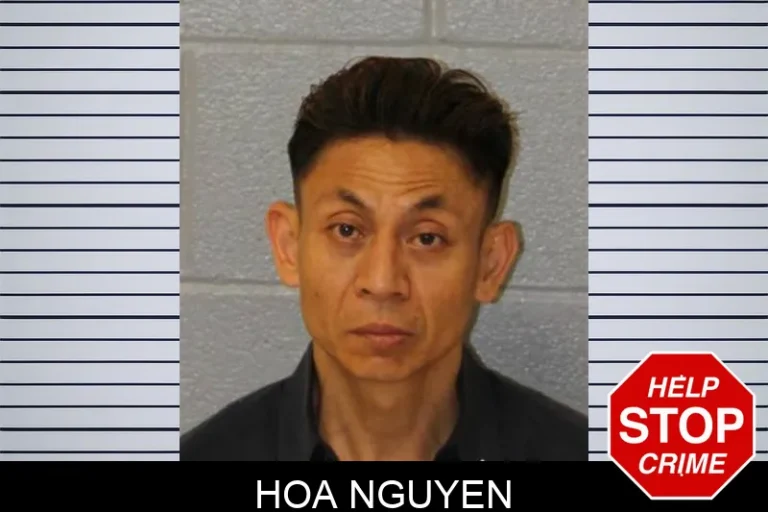 Hoa Nguyen