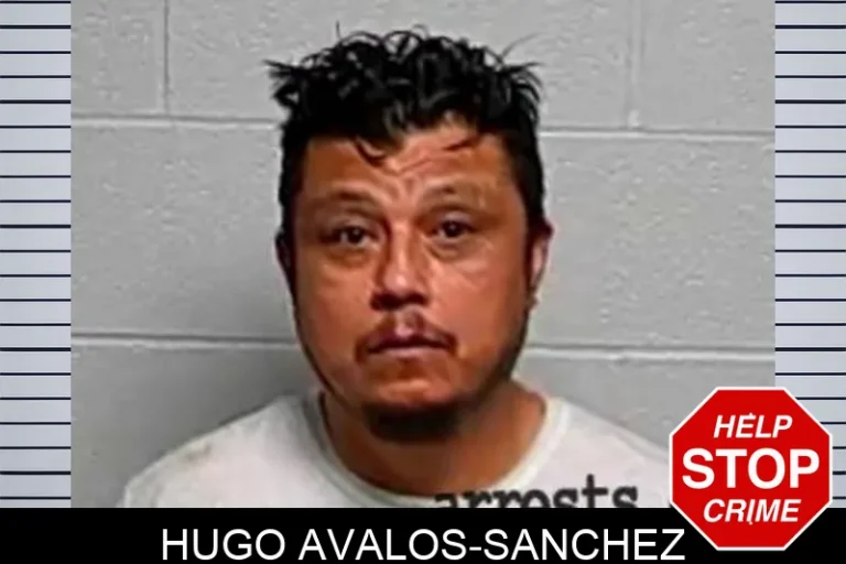 Hugo Avalos-Sanchez