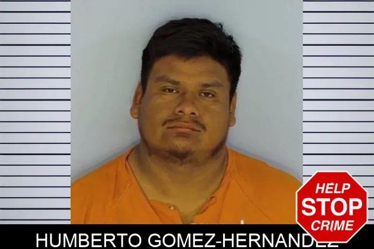 Humberto Gomez-Hernandez