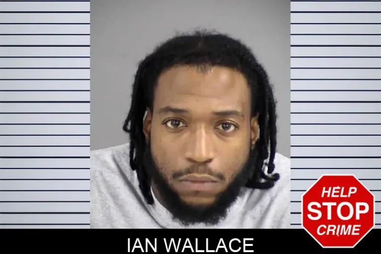 Ian Wallace