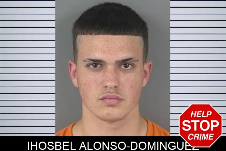 Ihosbel Alonso-Dominguez