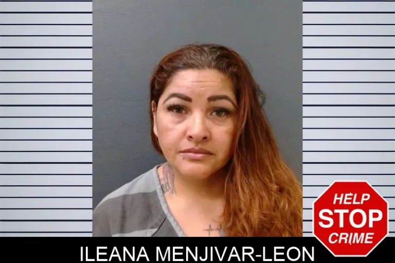 Ileana Menjivar-Leon