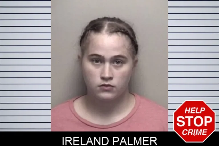 Ireland Palmer