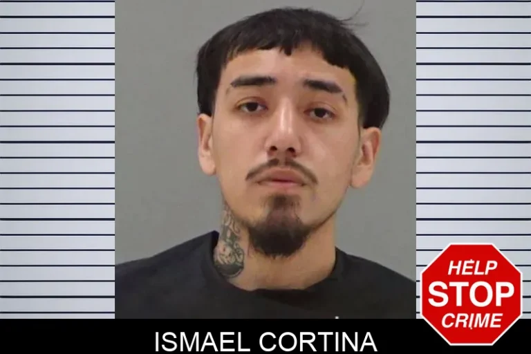 Ismael Cortina