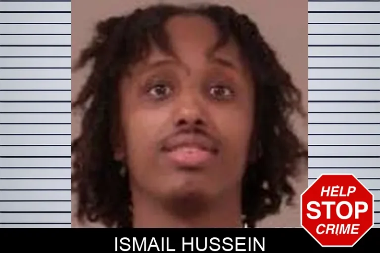 Ismail Hussein