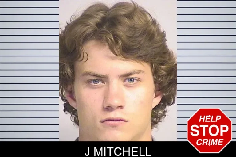 J Mitchell