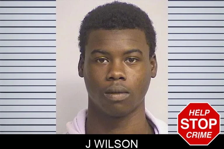 J Wilson