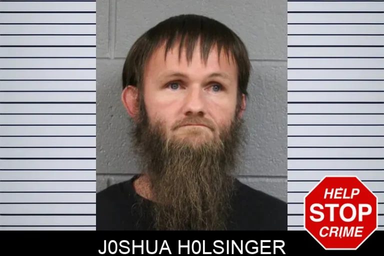 J0shua H0lsinger