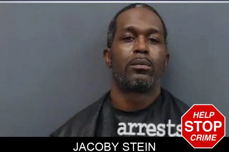 Jacoby Stein