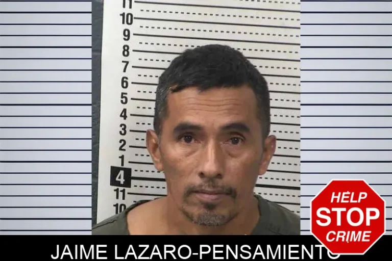 Jaime Lazaro-Pensamiento