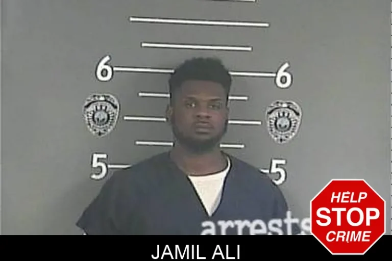Jamil Ali