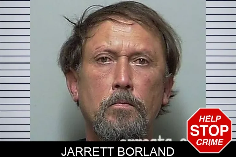 Jarrett Borland