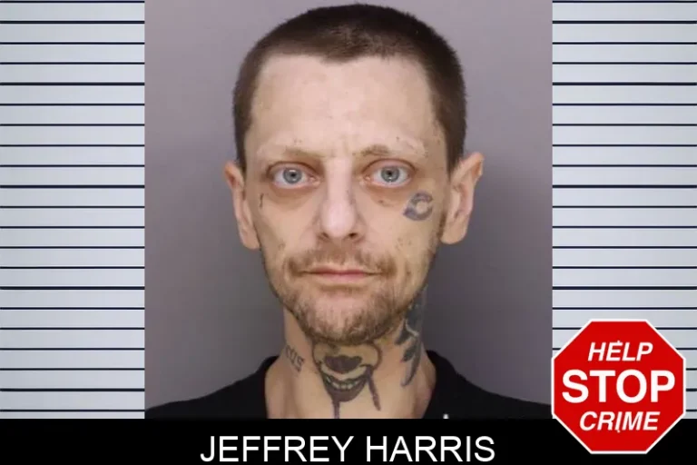 Jeffrey Harris