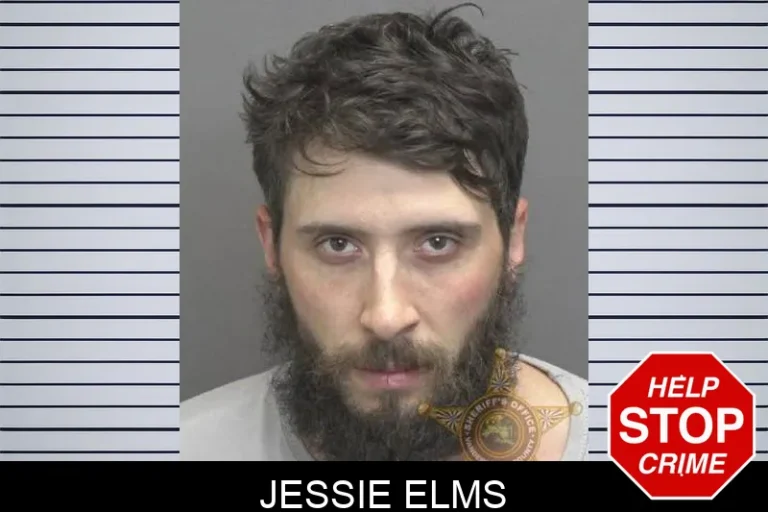 Jessie Elms