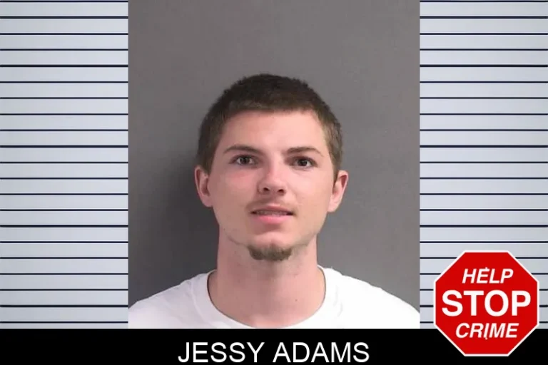 Jessy Adams