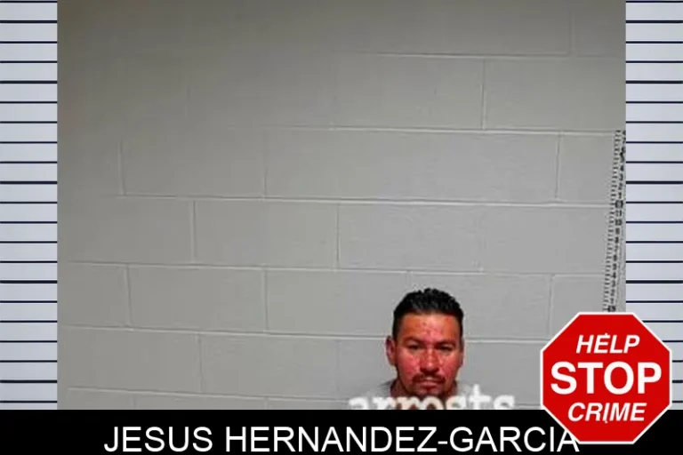 Jesus Hernandez-Garcia