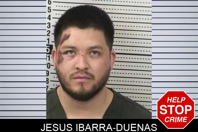 Jesus Ibarra-Duenas
