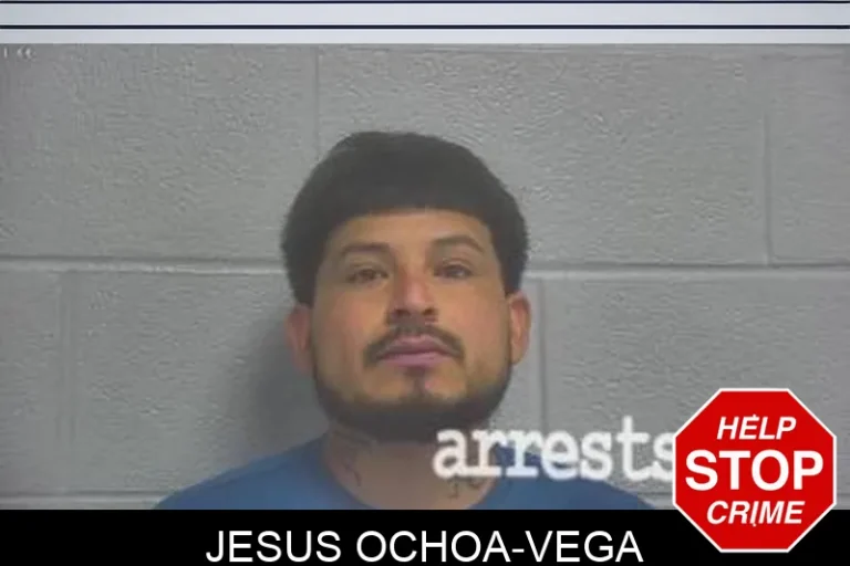 Jesus Ochoa-Vega